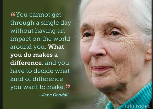 Are We Living in a Jane vs Charlie world?