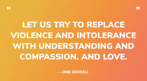 Are We Living in a Jane vs Charlie world?