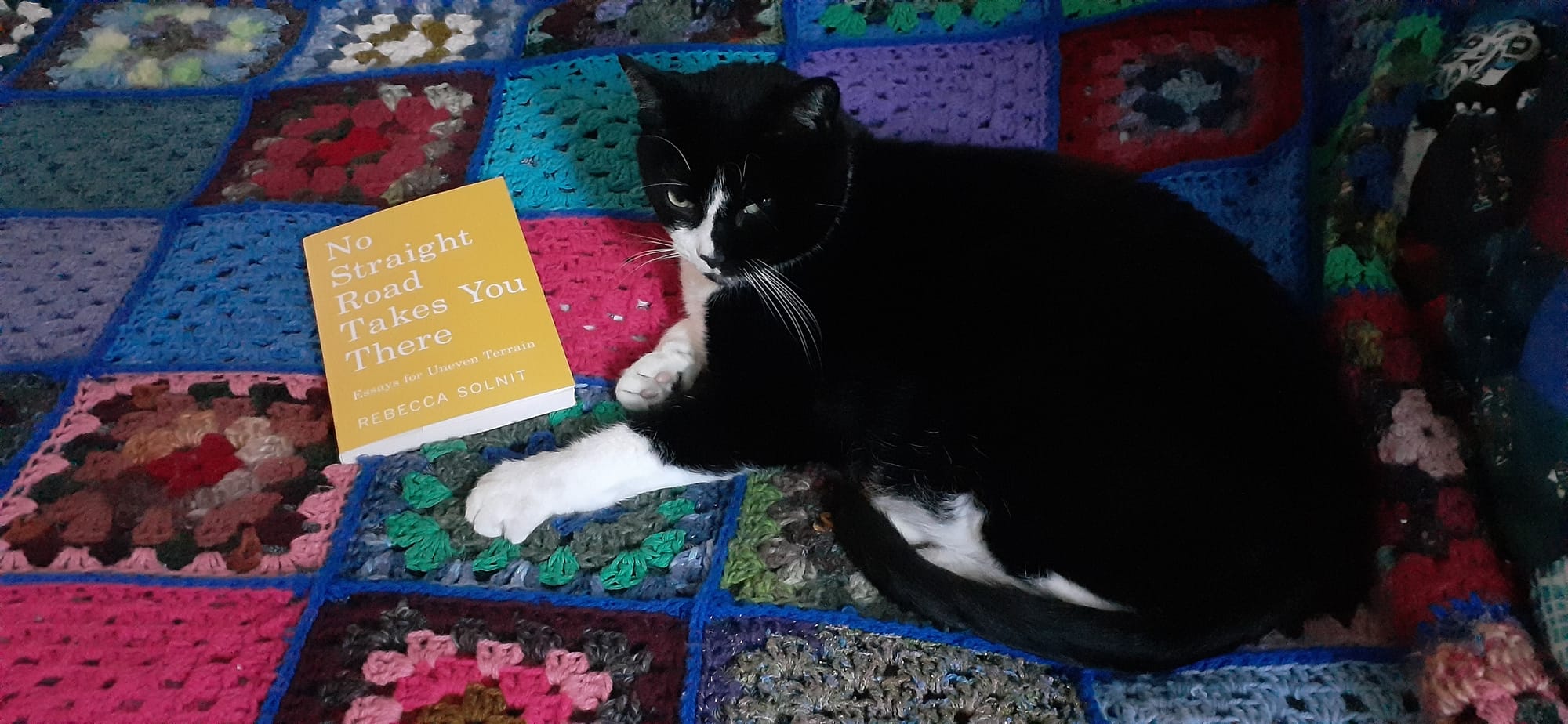 Keeping Our Heads Up in This Upside Down World.