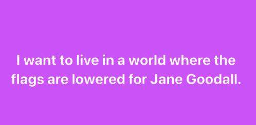 Are We Living in a Jane vs Charlie world?