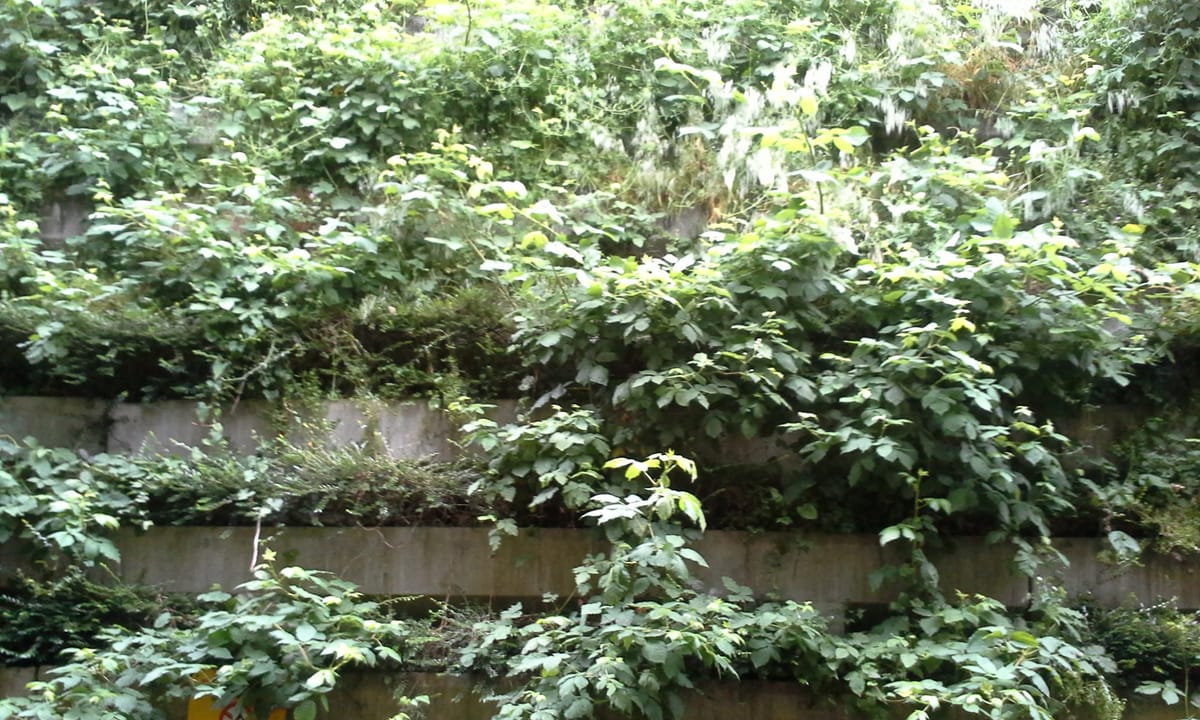 Ask Not What You Can't Do, But What You Can